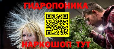 ГАЛЛЮЦИНОГЕННЫЕ ГРИБЫ Заволжье