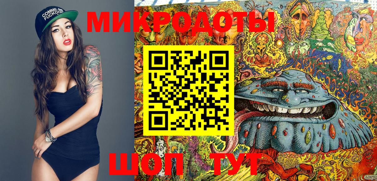 Псилоцибиновые грибы Cubensis  Вход с VPN  Новоалександровск 